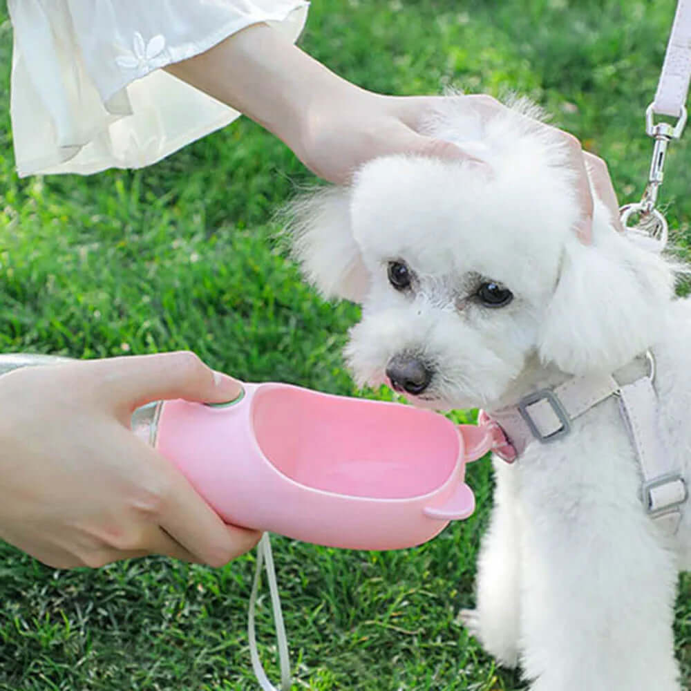 350ml Portable Travel Dog Water Bottle for Small  Dogs