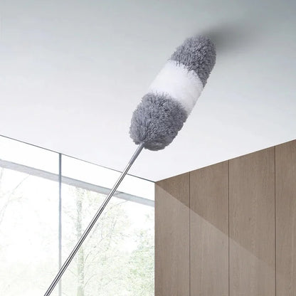 Dusters Dust Brush with Extension